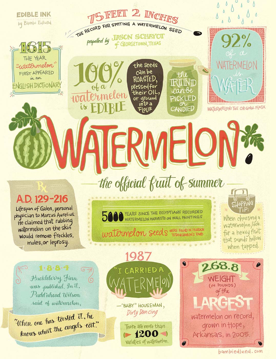Watermelon info-graphic