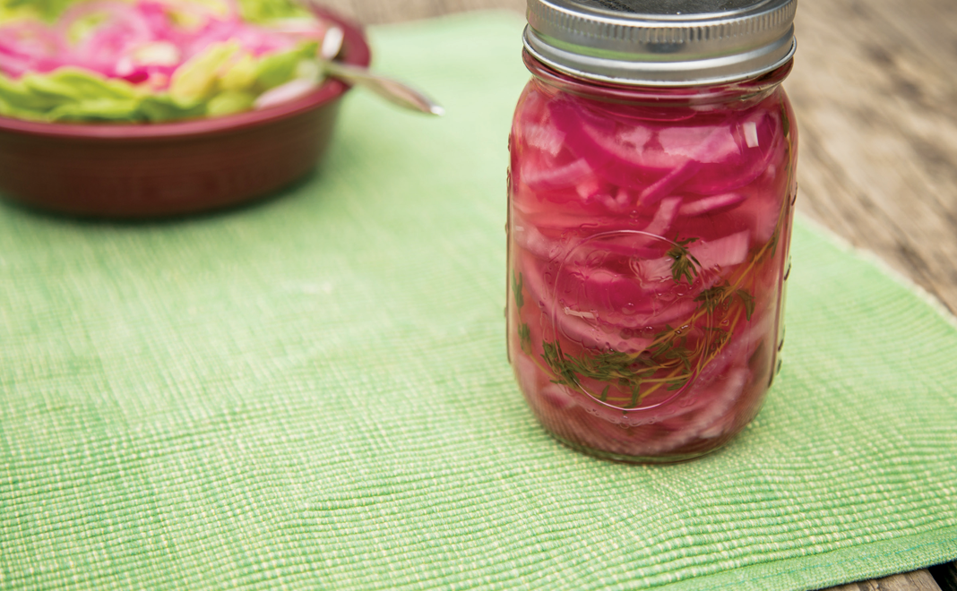 Pickled Red Onions | Edible WOW