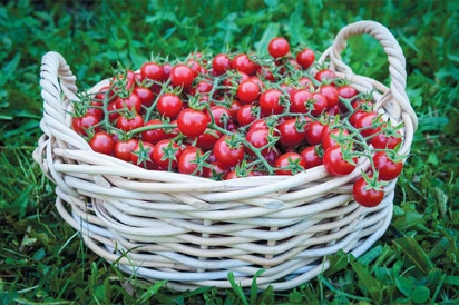 cherry tomatoes