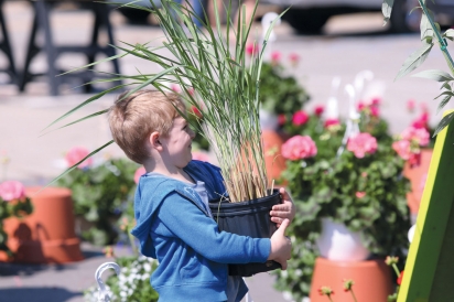 little boy with big plant at oakland county farmers market