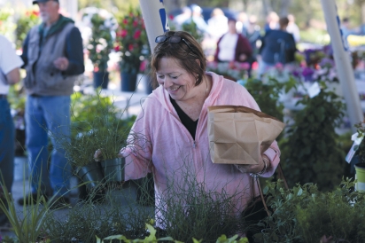 woman browsing through plants at oakland county farmers market