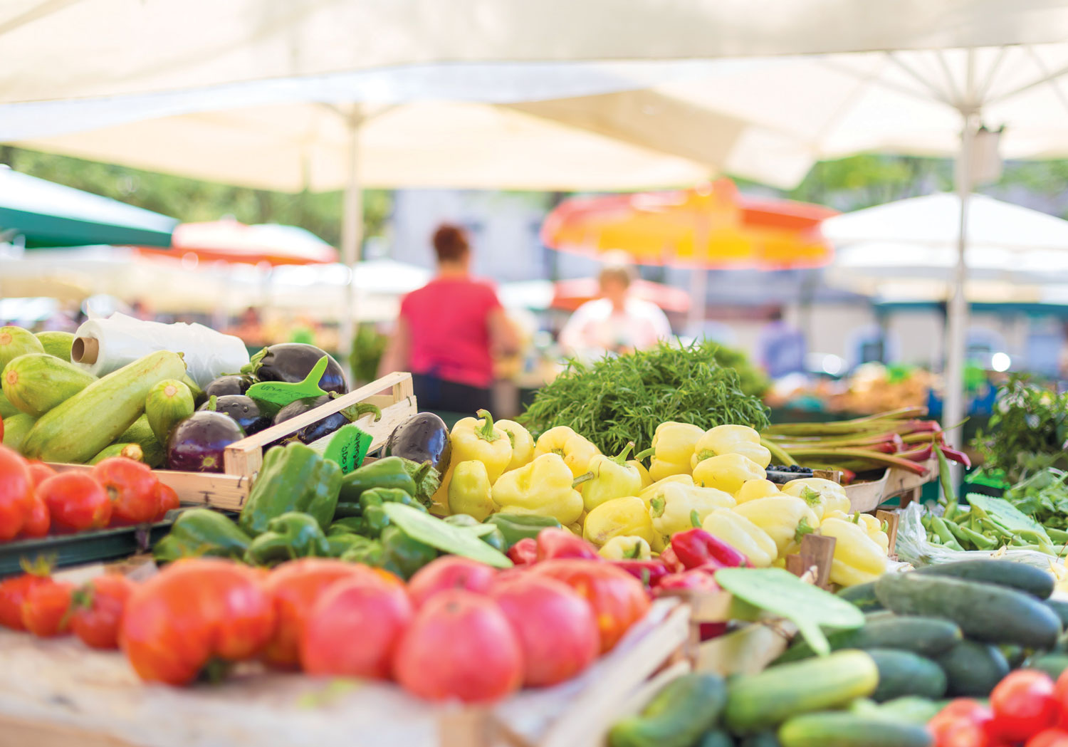 summer produce