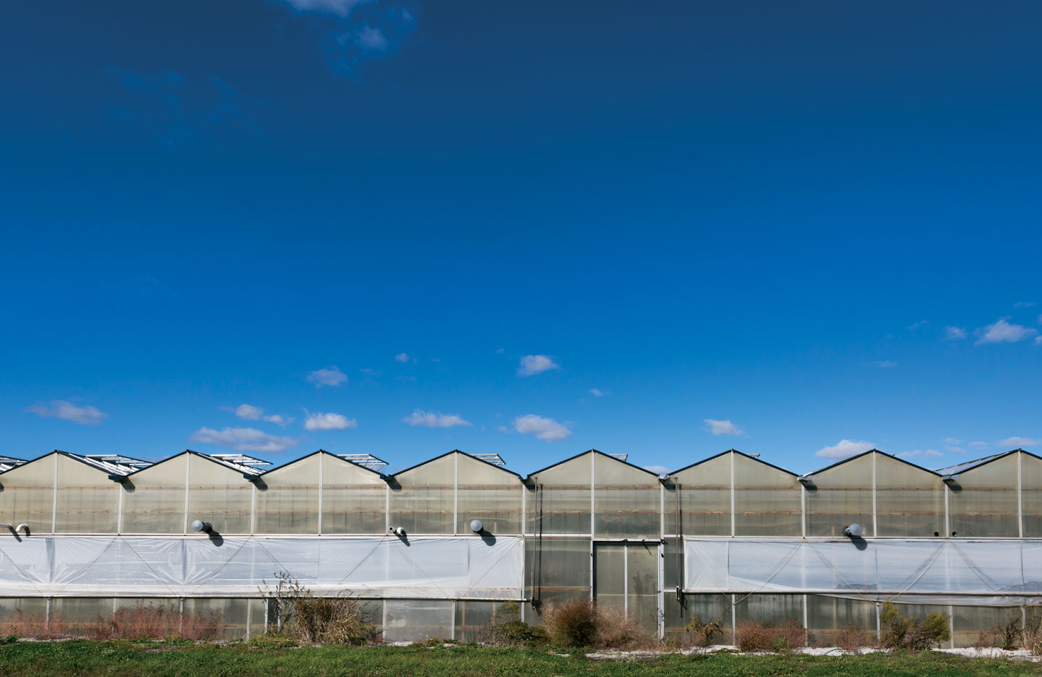 aquaponics farm