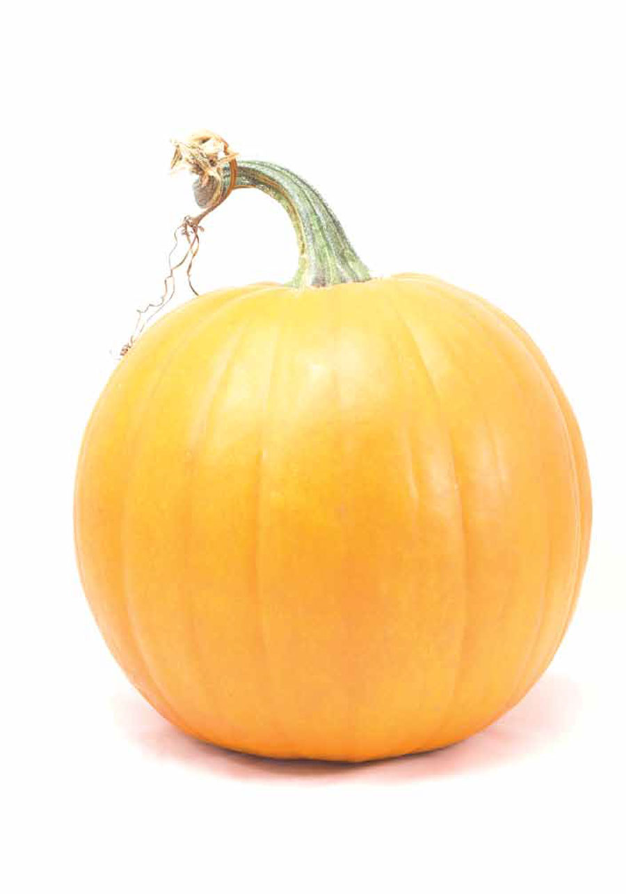 squash-pumpkin-16-edible-WOW-21-1.jpg