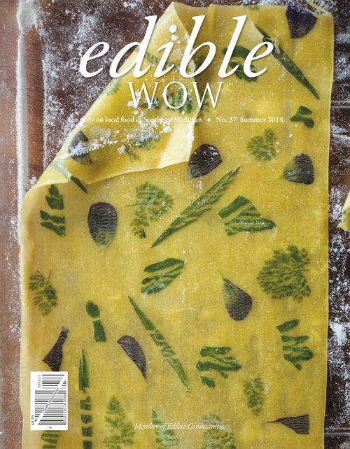 COVER #27 Spring 2014.jpg