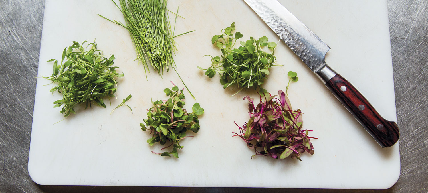 fresh herbs at the Wooden Spoon
