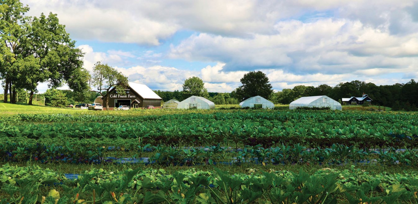 farm-therapy-1.jpg